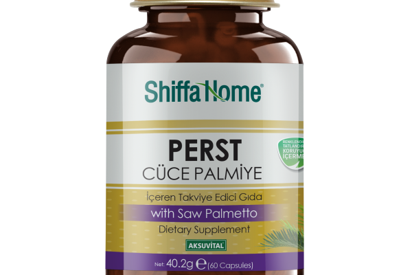 h01491-perst h01491-perst