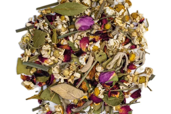 teagro–restfull-pasiflora-v–171533127318124 teagro--restfull-pasiflora-v--171533127318124